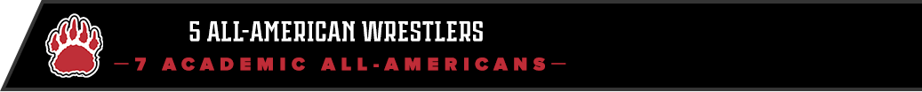  Wrestling Icon 