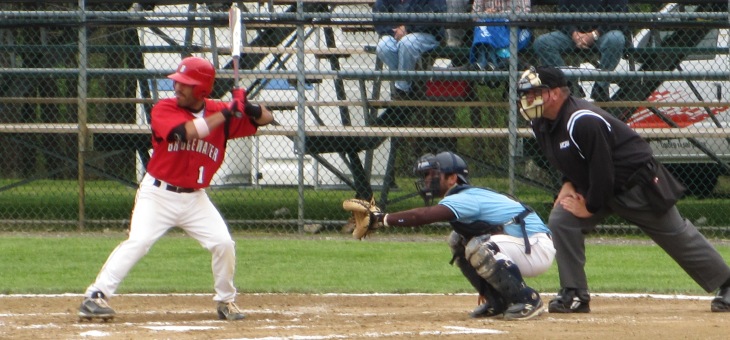 Baseball Falls to WNEC in Regional Final